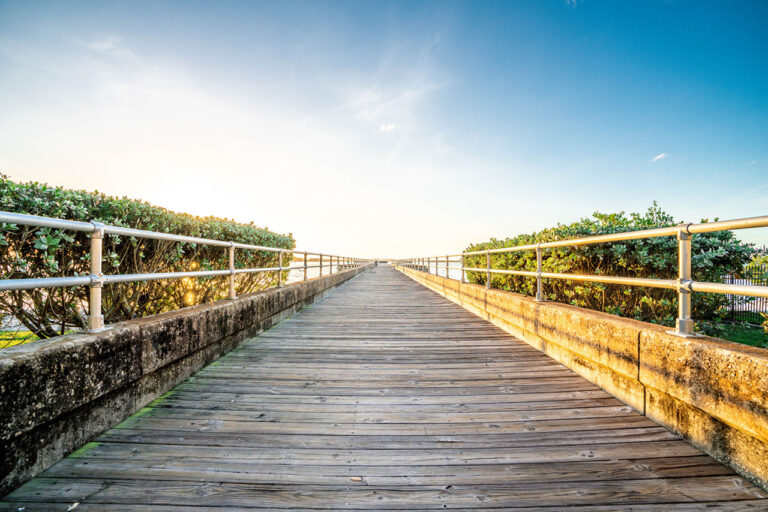 View from a dock