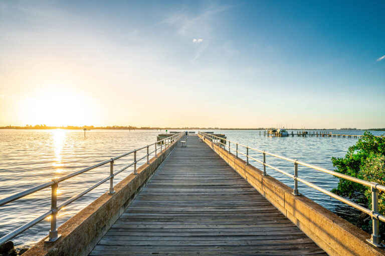 View from a dock