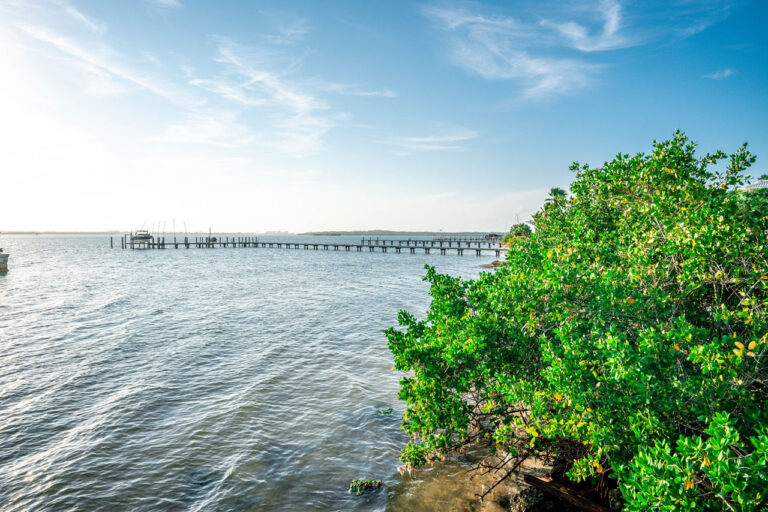 View of the water